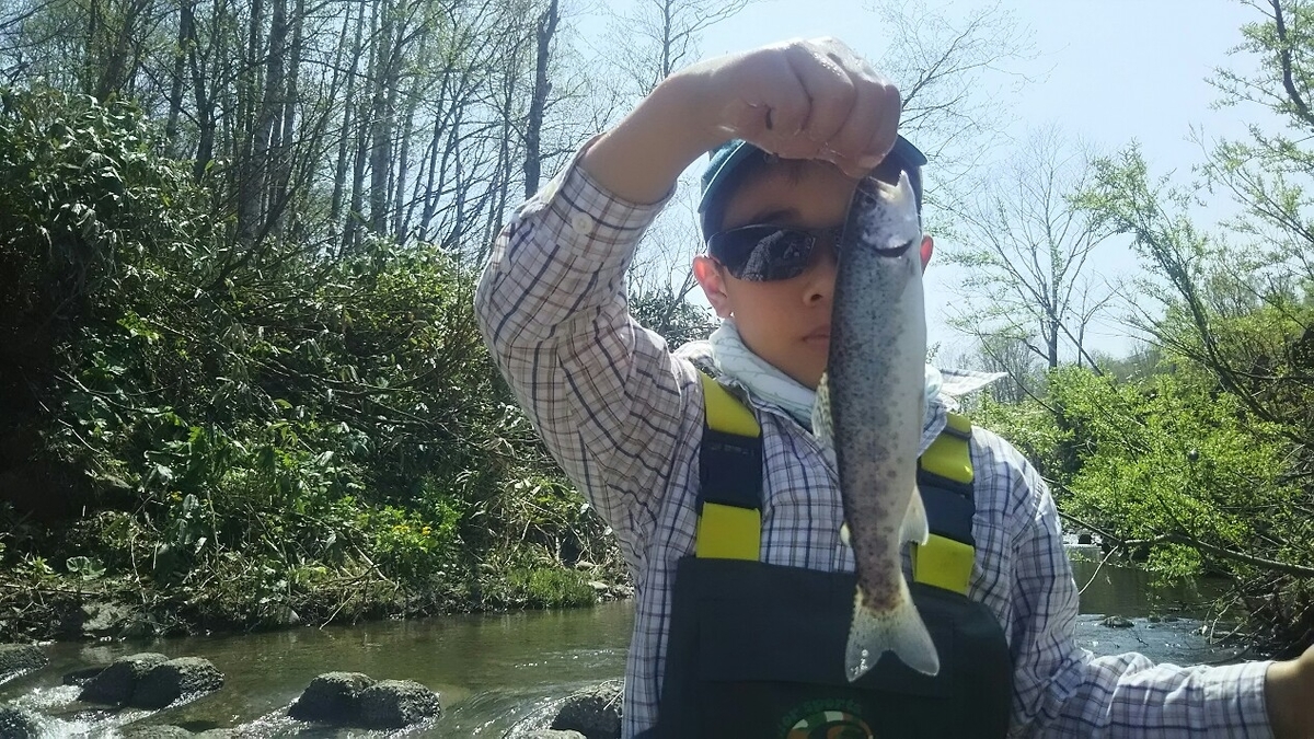 f:id:flyfisher417:20190524122512j:plain