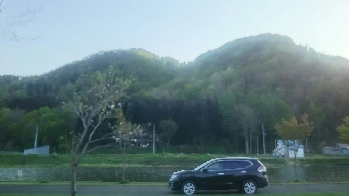 f:id:flyfisher417:20190524185657j:plain