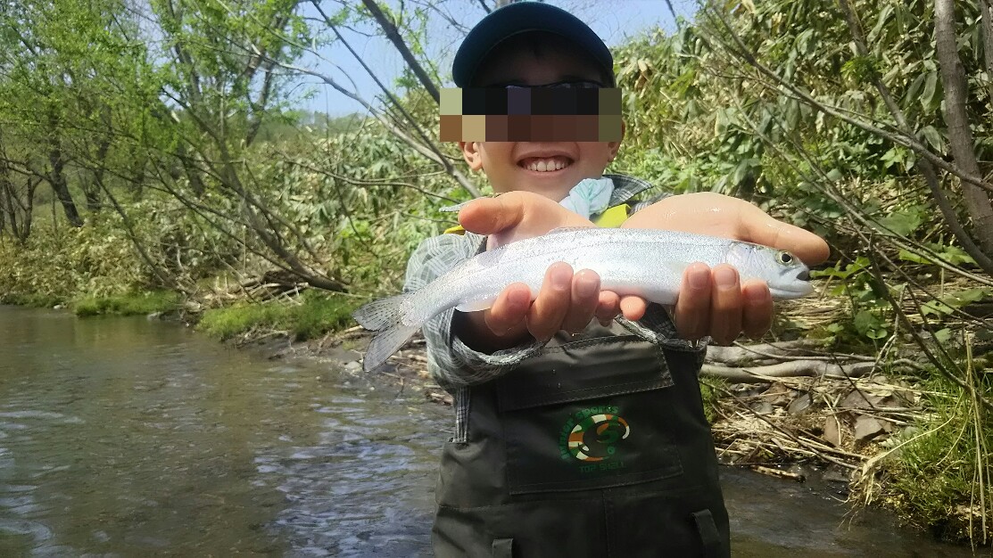 f:id:flyfisher417:20190524191534j:plain