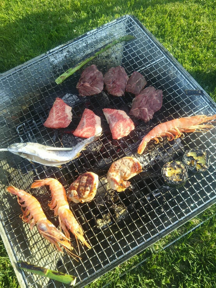 f:id:flyfisher417:20190525122816j:plain