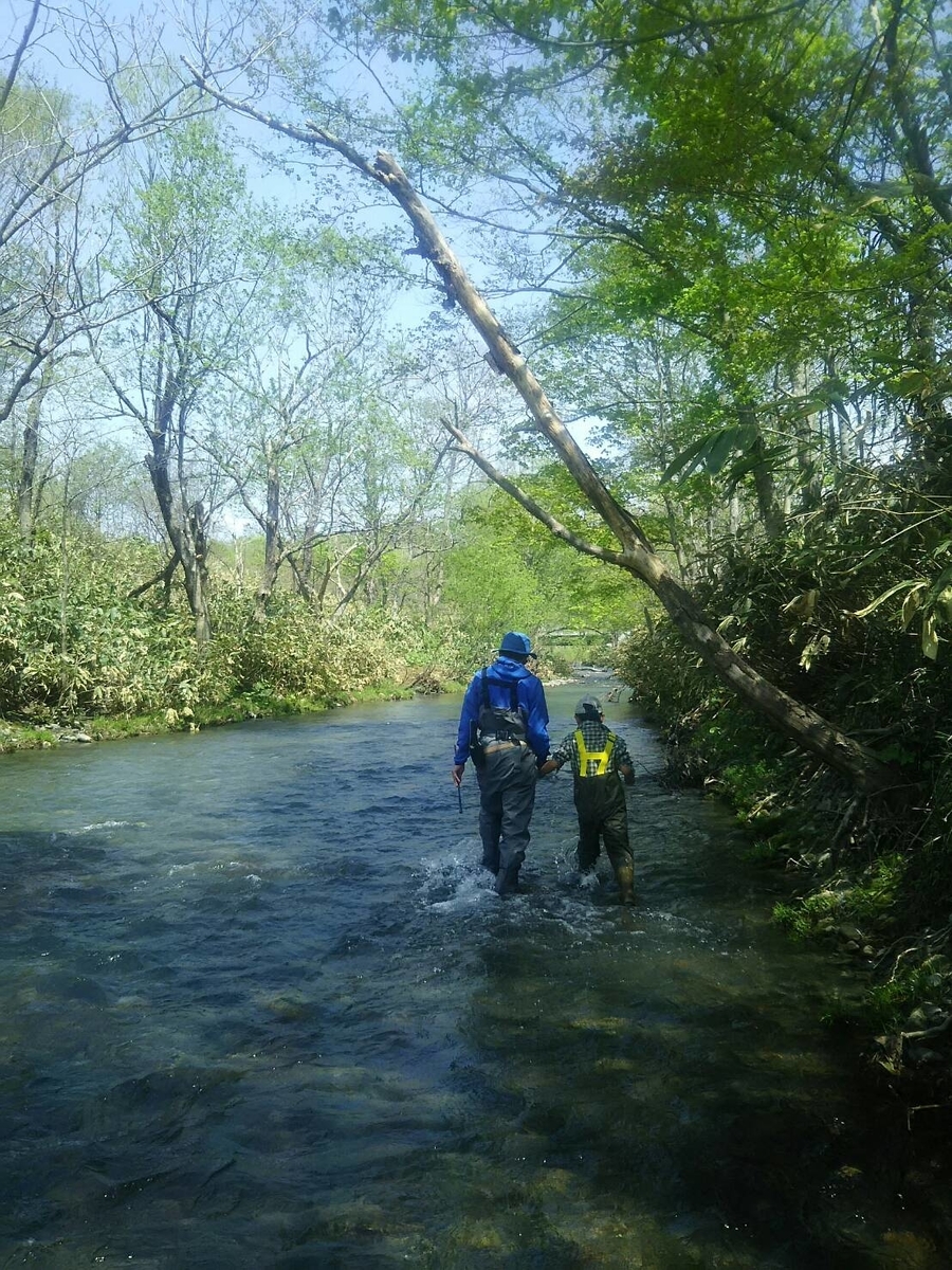 f:id:flyfisher417:20190525122933j:plain