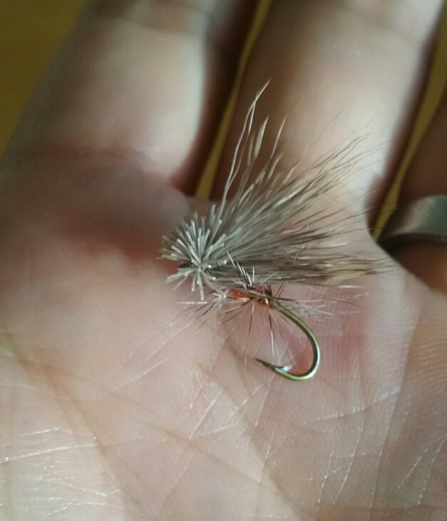 f:id:flyfisher417:20190601060828j:plain