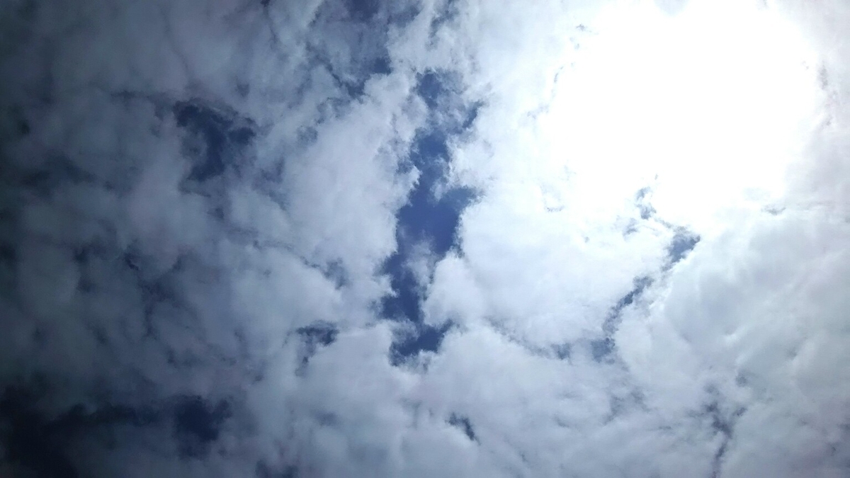 f:id:flyfisher417:20190610203318j:plain f:id:flyfisher417:20190610203318j:plain