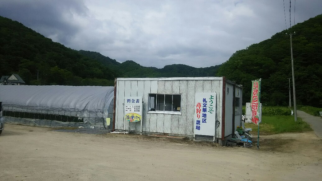 f:id:flyfisher417:20190610204154j:plain f:id:flyfisher417:20190610204154j:plain