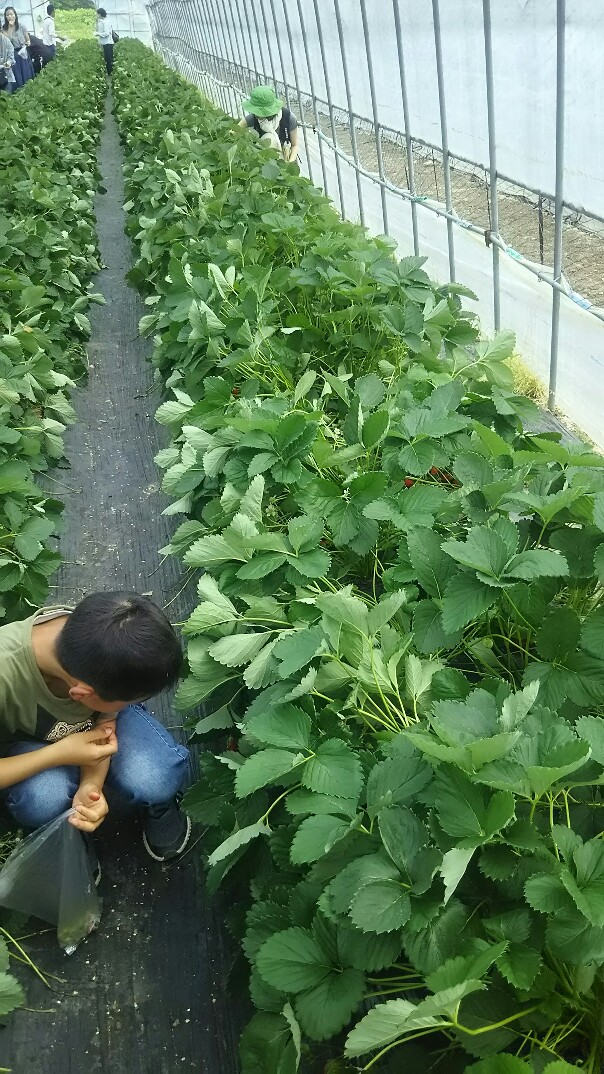 f:id:flyfisher417:20190610214417j:plain f:id:flyfisher417:20190610214417j:plain