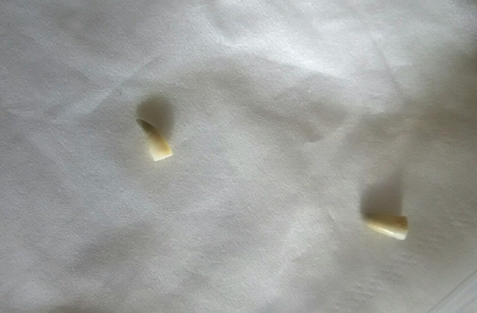f:id:flyfisher417:20190612214811j:plain f:id:flyfisher417:20190612214811j:plain