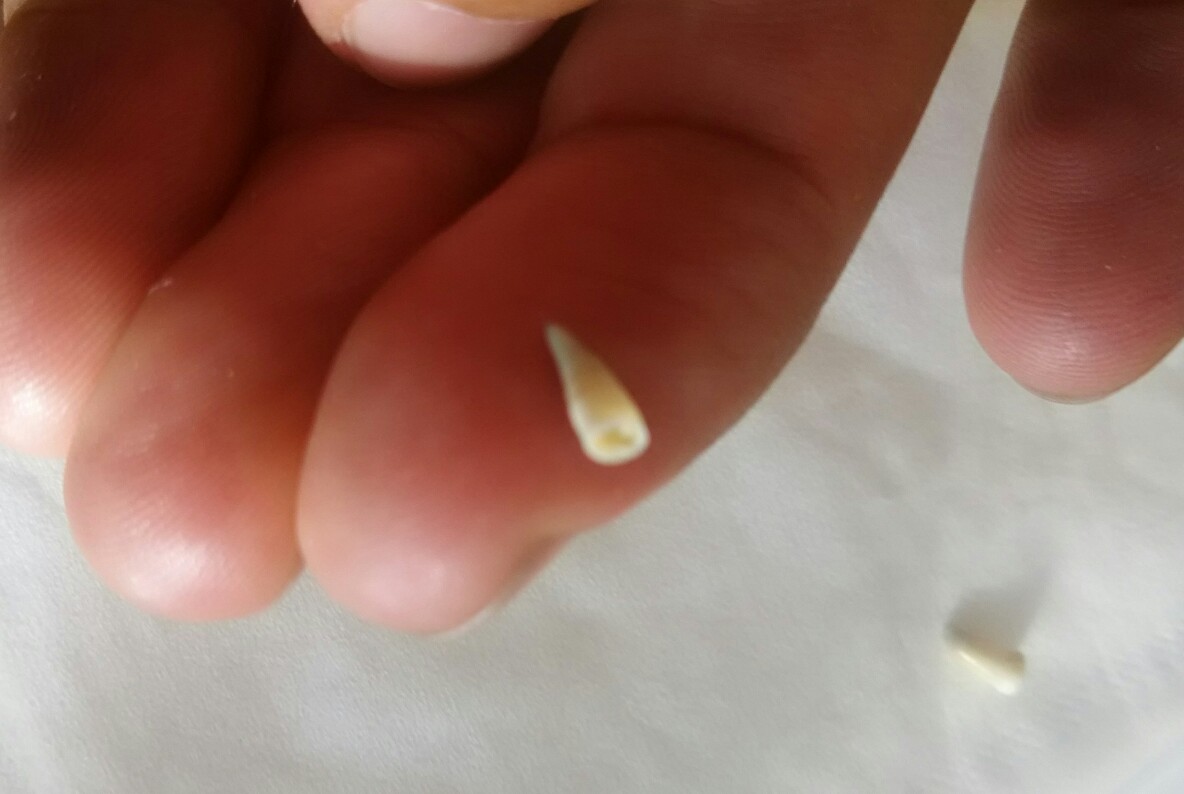 f:id:flyfisher417:20190612214855j:plain f:id:flyfisher417:20190612214855j:plain
