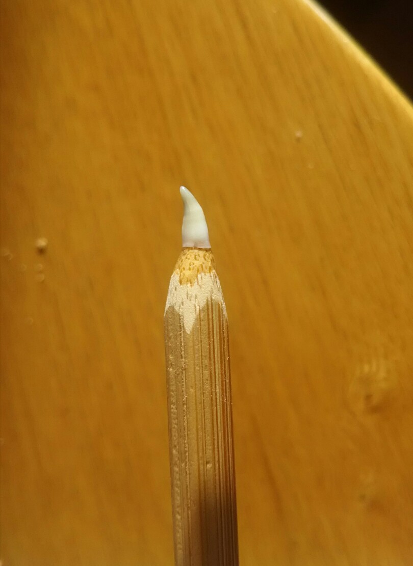 f:id:flyfisher417:20190612215104j:plain f:id:flyfisher417:20190612215104j:plain