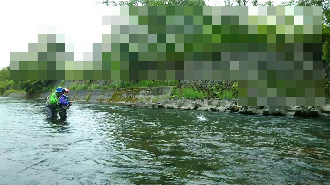 f:id:flyfisher417:20190702125147j:plain f:id:flyfisher417:20190702125147j:plain
