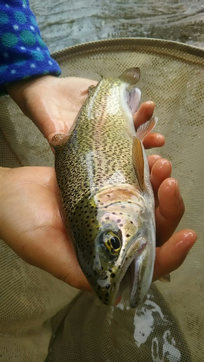 f:id:flyfisher417:20190702125602j:plain f:id:flyfisher417:20190702125602j:plain