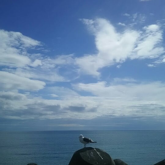 f:id:flyfisher417:20190717121041j:plain