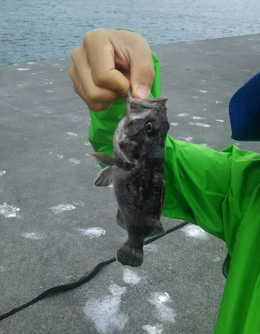 f:id:flyfisher417:20190717125405j:plain