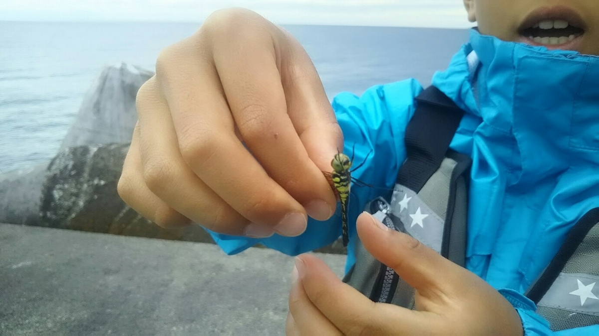 f:id:flyfisher417:20190717125450j:plain