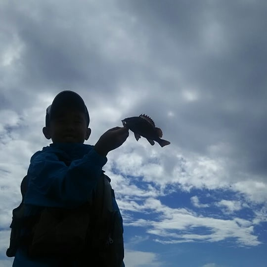 f:id:flyfisher417:20190717125538j:plain