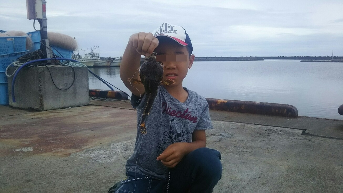 f:id:flyfisher417:20190718190451j:plain