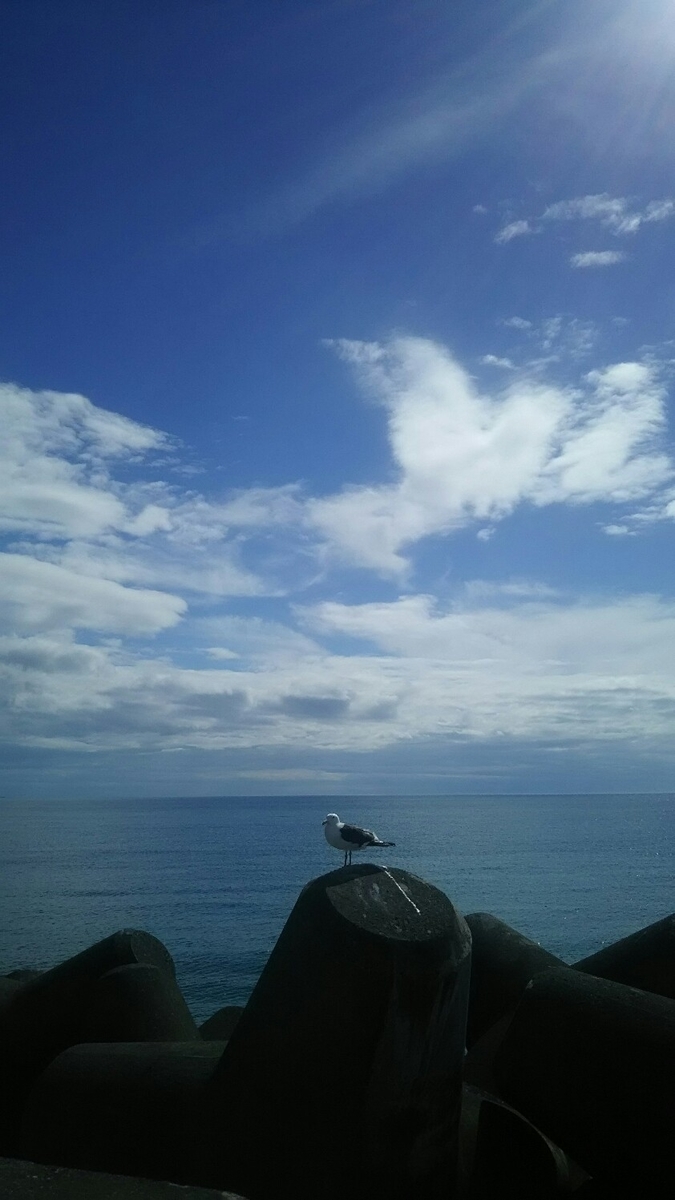 f:id:flyfisher417:20190720215939j:plain