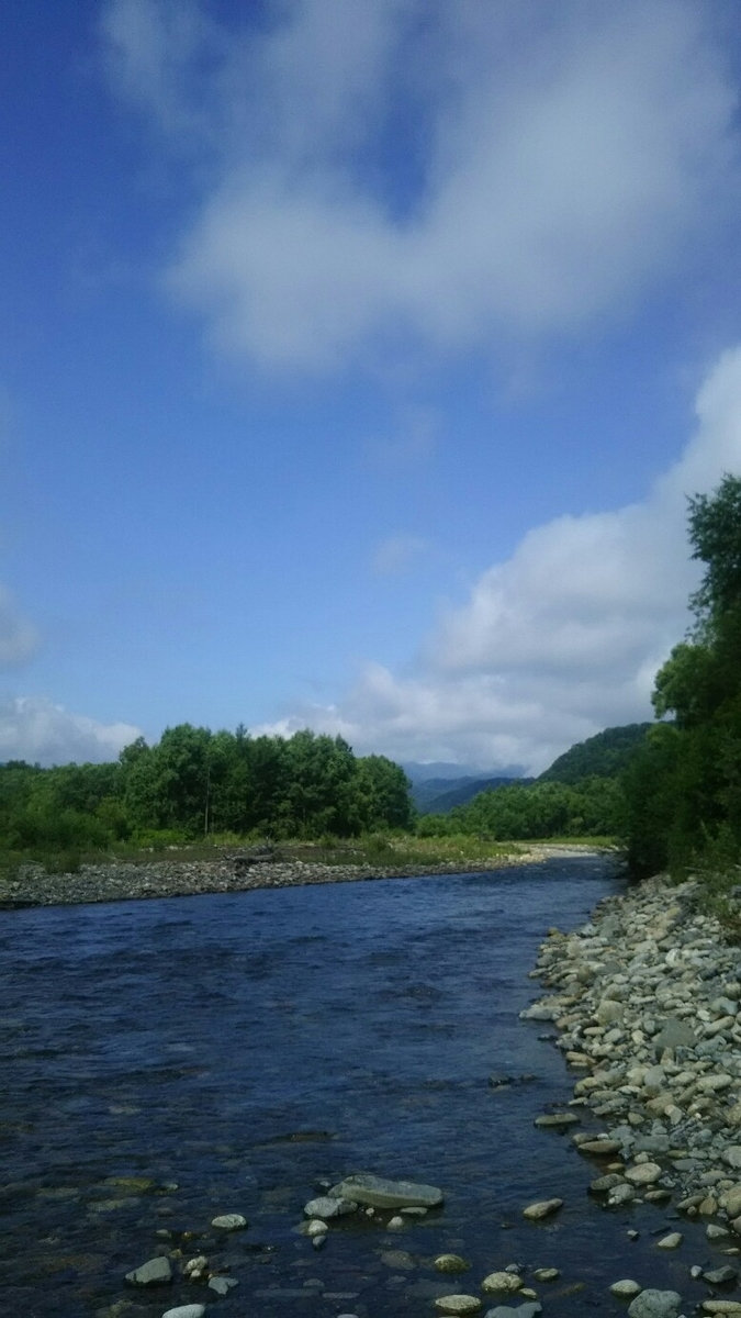 f:id:flyfisher417:20190720220118j:plain