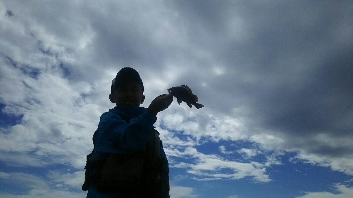 f:id:flyfisher417:20190720220155j:plain