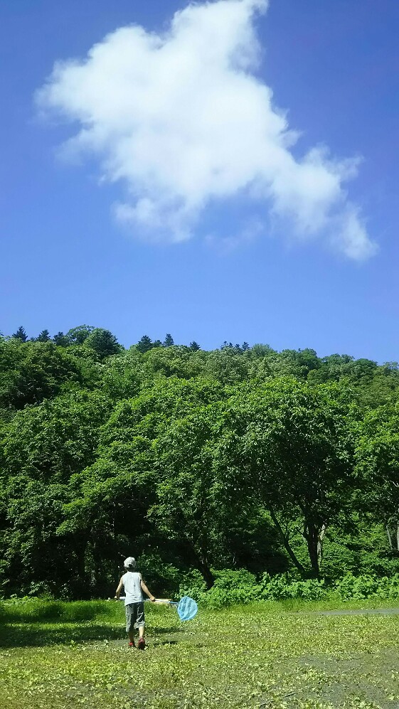 f:id:flyfisher417:20190720220247j:plain