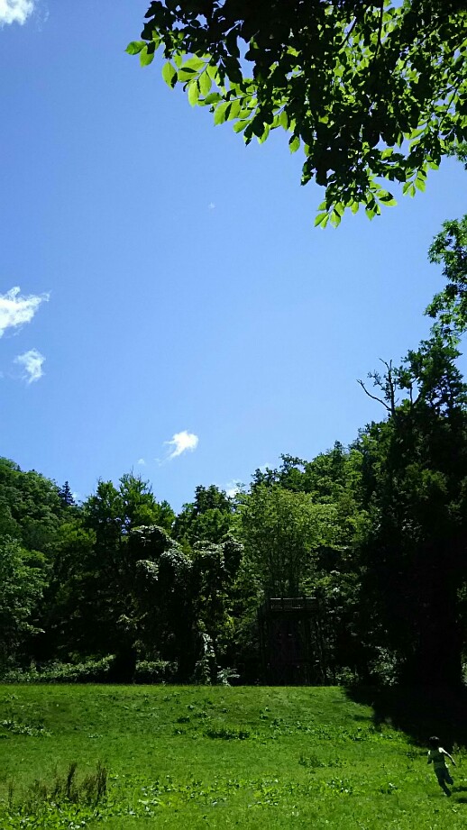 f:id:flyfisher417:20190720220406j:plain