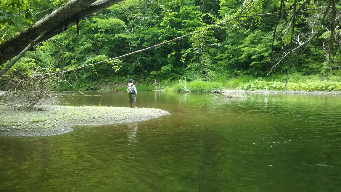 f:id:flyfisher417:20190723175928j:plain