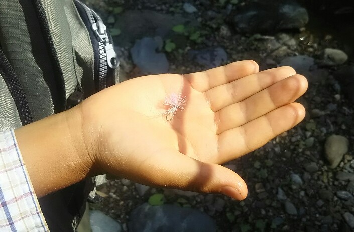 f:id:flyfisher417:20190723180628j:plain