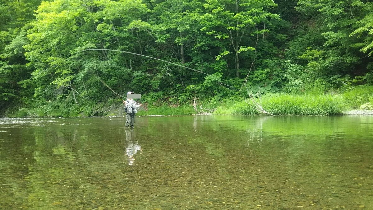 f:id:flyfisher417:20190723180725j:plain