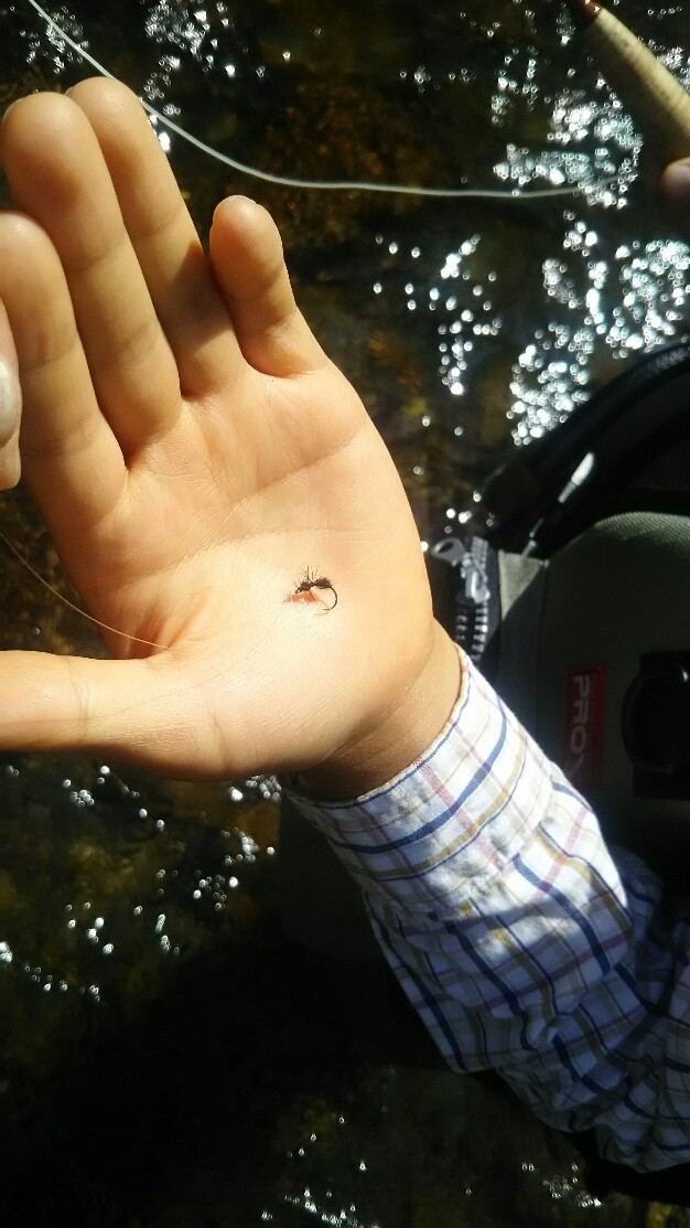 f:id:flyfisher417:20190723180854j:plain