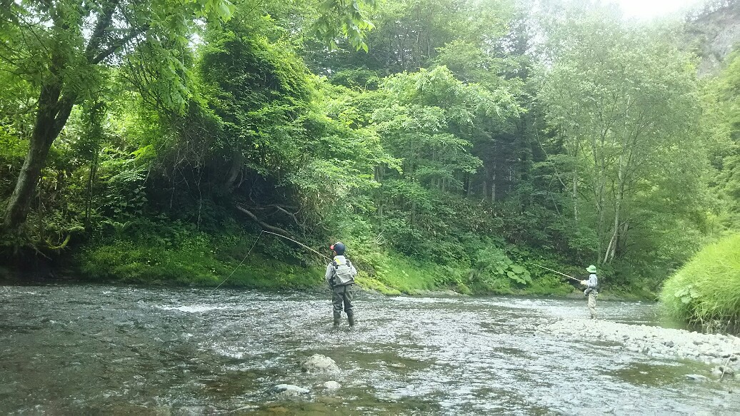 f:id:flyfisher417:20190723180937j:plain