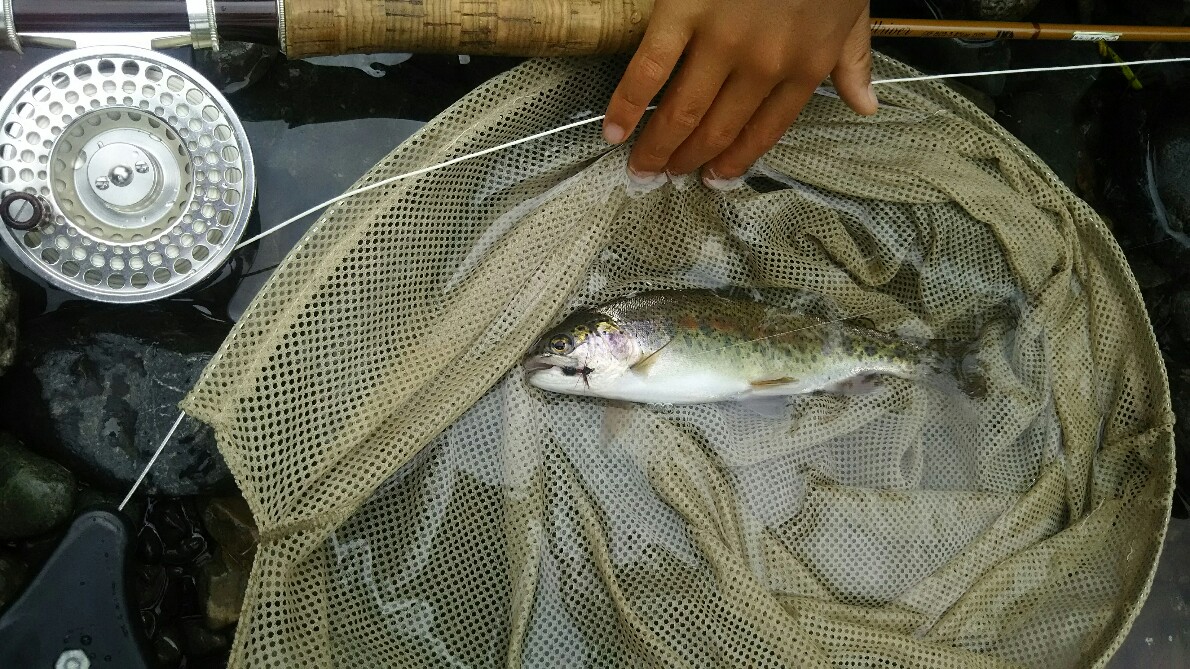 f:id:flyfisher417:20190723181157j:plain