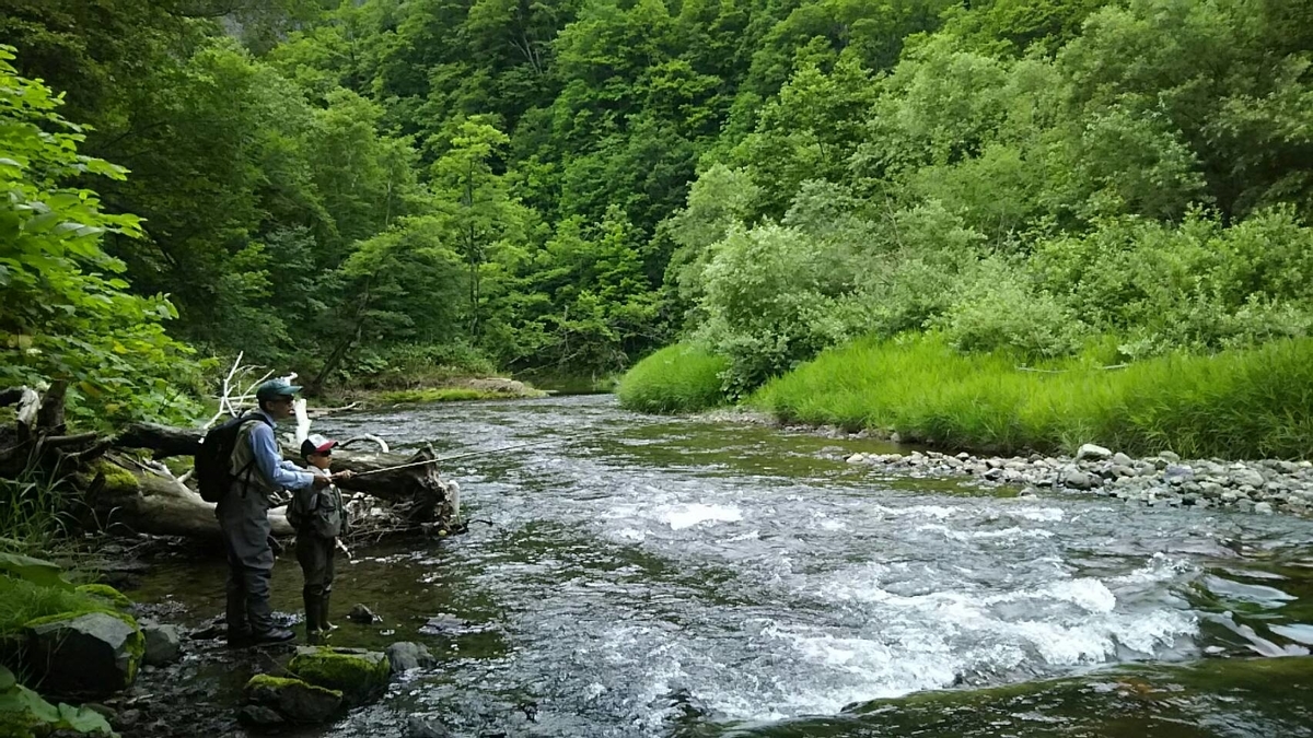 f:id:flyfisher417:20190723205324j:plain