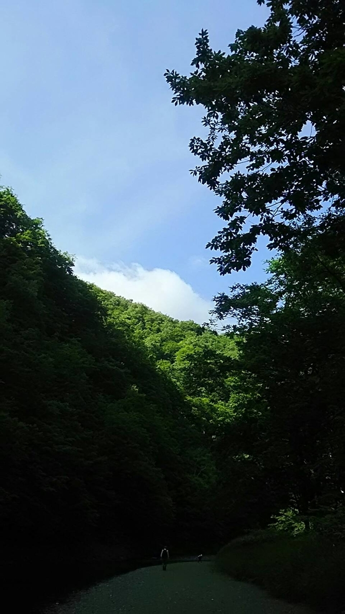 f:id:flyfisher417:20190723210441j:plain