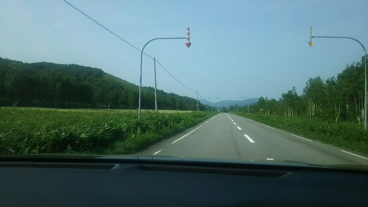 f:id:flyfisher417:20190814162913j:plain