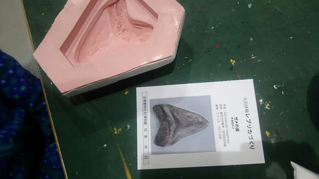 f:id:flyfisher417:20190822200027j:plain f:id:flyfisher417:20190822200027j:plain