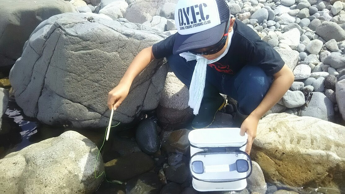 f:id:flyfisher417:20190901100202j:plain