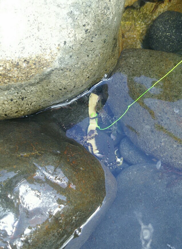 f:id:flyfisher417:20190901100227j:plain