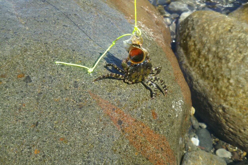 f:id:flyfisher417:20190901100259j:plain