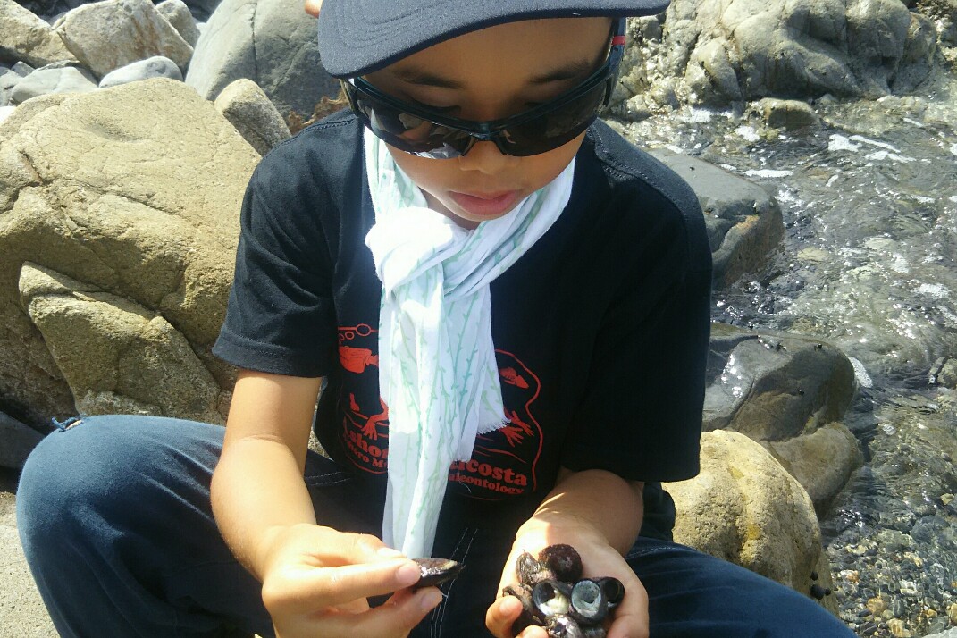 f:id:flyfisher417:20190901100344j:plain