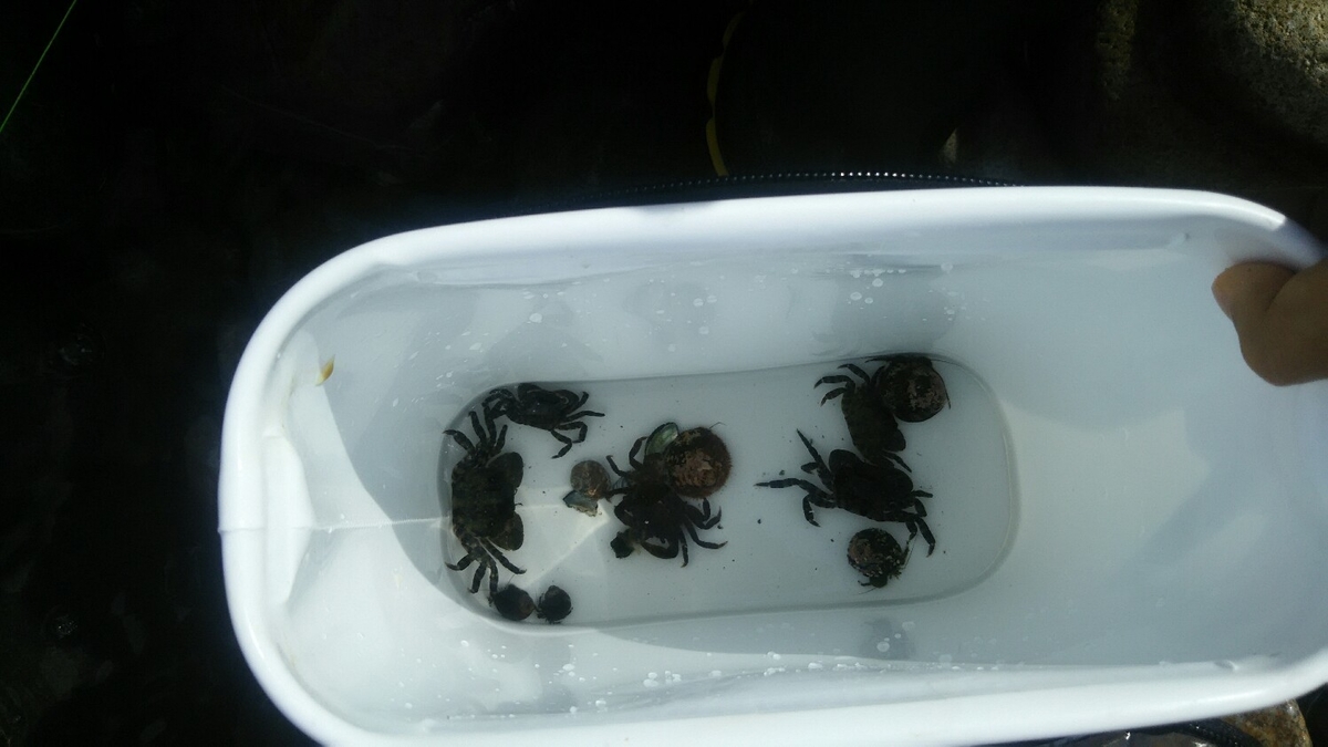 f:id:flyfisher417:20190901100428j:plain
