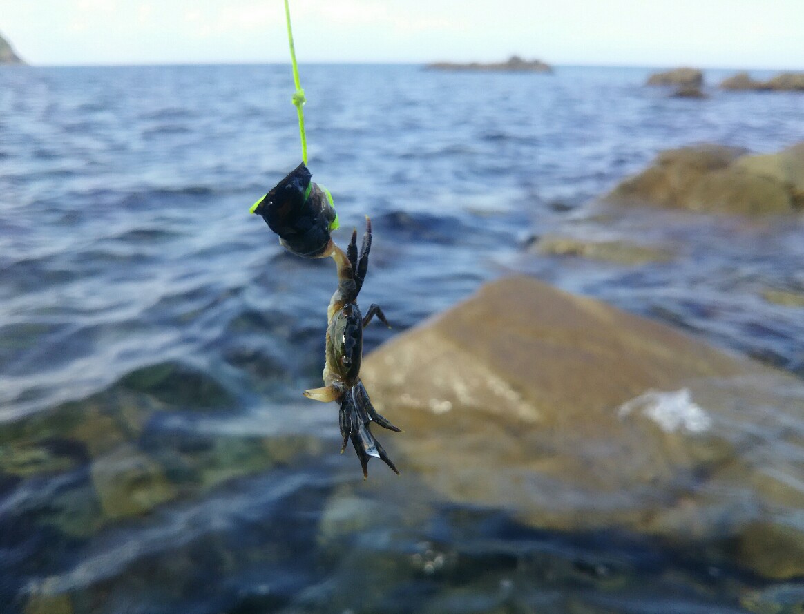 f:id:flyfisher417:20190901101020j:plain