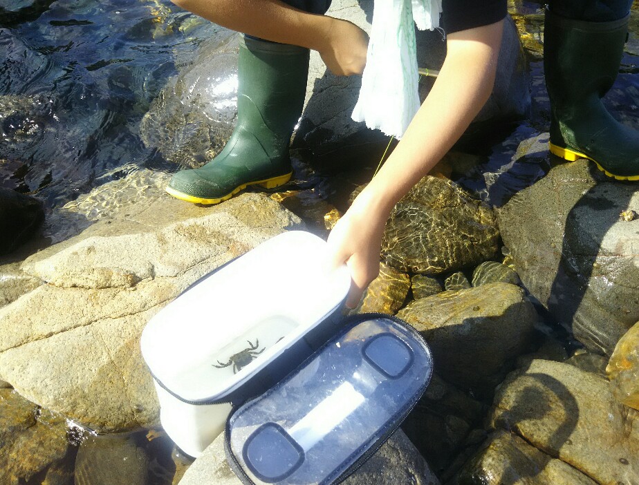 f:id:flyfisher417:20190901110919j:plain