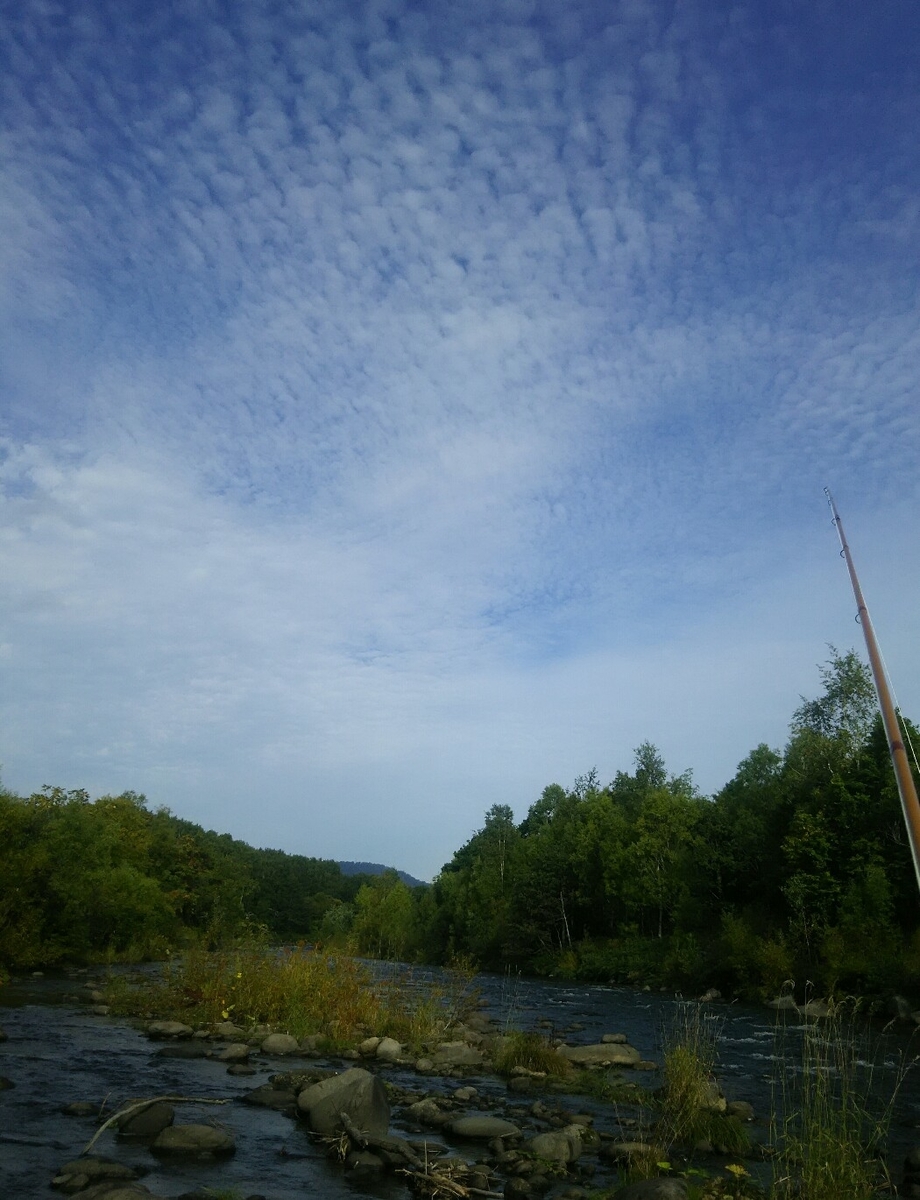 f:id:flyfisher417:20190910180931j:plain