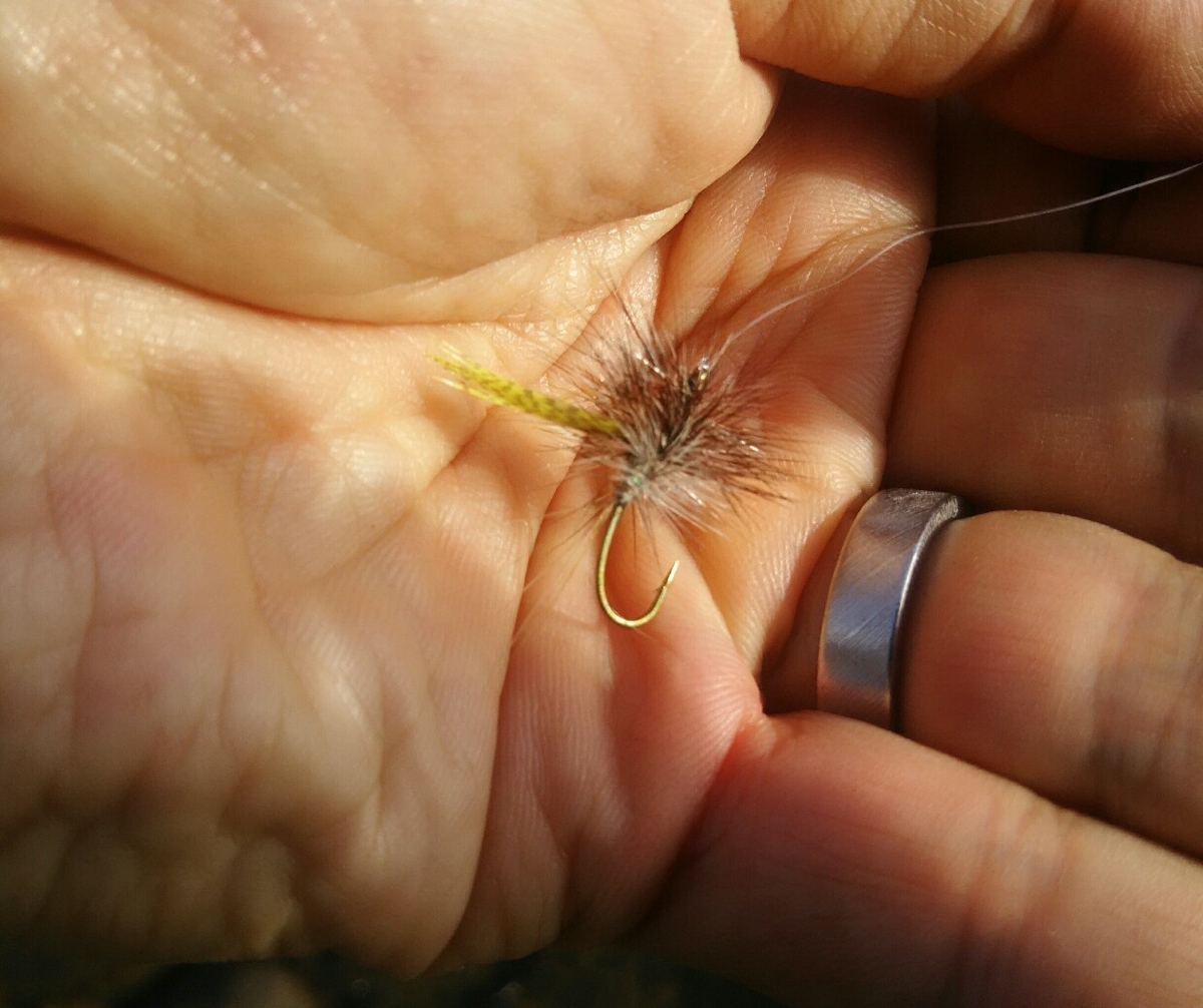 f:id:flyfisher417:20190910181009j:plain