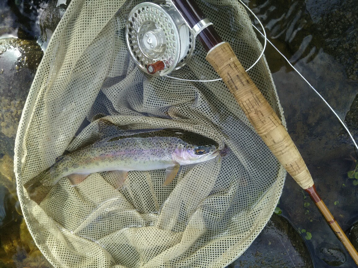 f:id:flyfisher417:20190910181158j:plain
