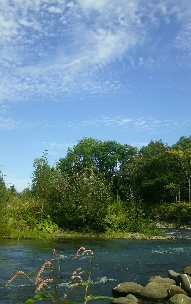 f:id:flyfisher417:20190911083031j:plain