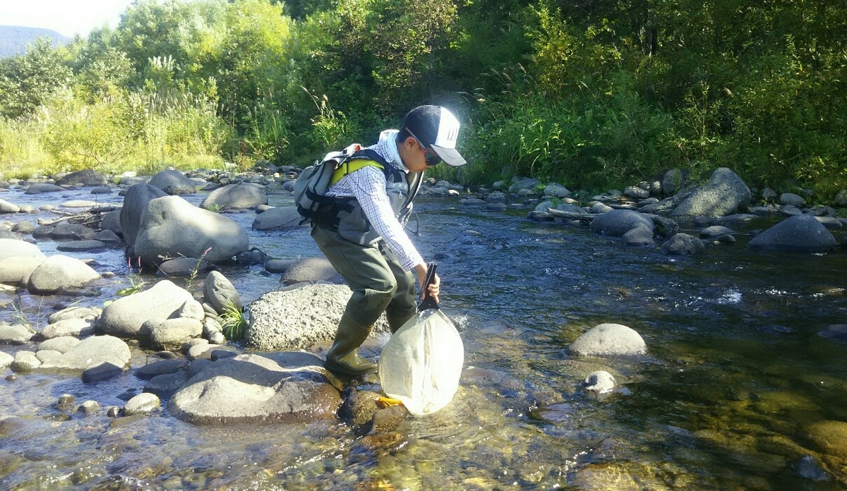 f:id:flyfisher417:20190911122844j:plain