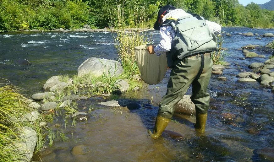 f:id:flyfisher417:20190911122902j:plain