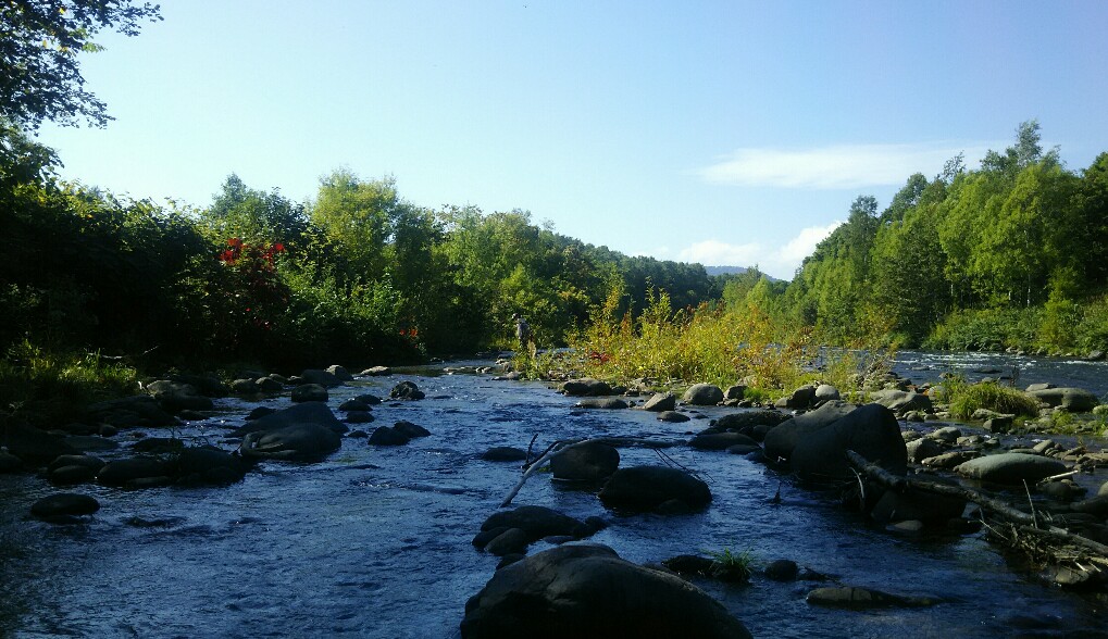 f:id:flyfisher417:20190911123057j:plain