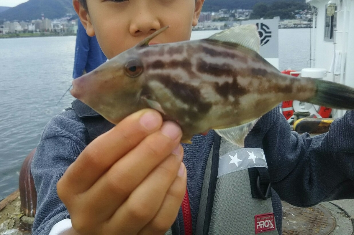 f:id:flyfisher417:20190917180854j:plain