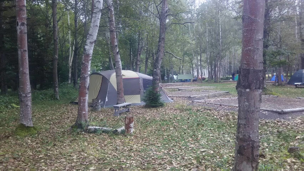 f:id:flyfisher417:20190925154634j:plain